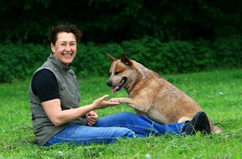 Hundeschule Stank Hundeschule Stank